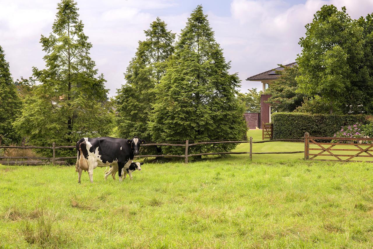 Villa Het Bascour Holthees Exteriér fotografie